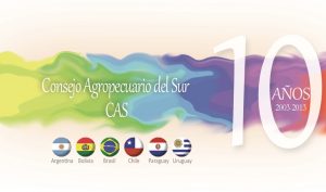 En Santa Cruz, Bolivia se realizará la XXVI Reunión Ordinaria del CAS
