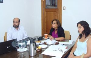 GT1 y GT2 se reúnen en forma virtual para coordinar sus planes de trabajo 2015