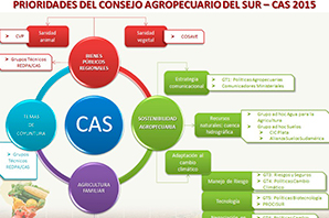 Prioridades-y-Mandatos-del-CAS